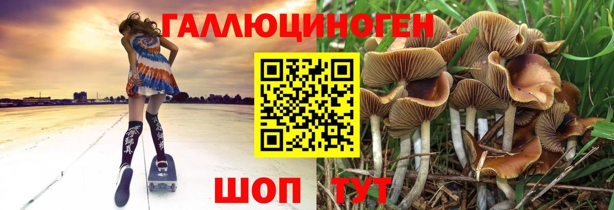 Галлюциногенные грибы мицелий Полысаево