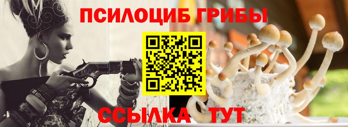 Псилоцибиновые грибы Psilocybine cubensis  Галлюциногенные грибы Psilocybe  Вход с VPN  Полысаево 